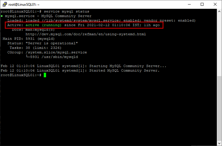 The output of the query to view MySQL server services 