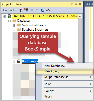 Querying sample database BookSimple
