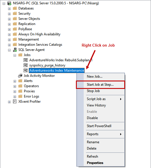 We need now to test the job: right-click on it and select Start Job 