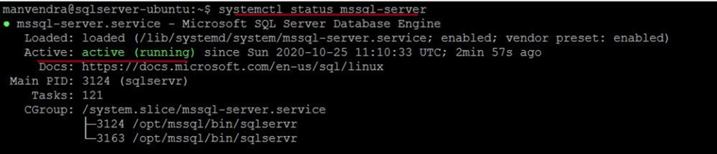 status of the running SQL Server instance